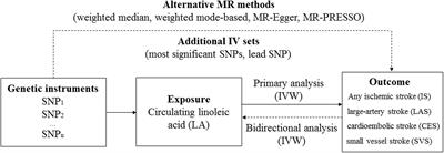 Association Between Circulating Linoleic Acid and Risk of Ischemic Stroke